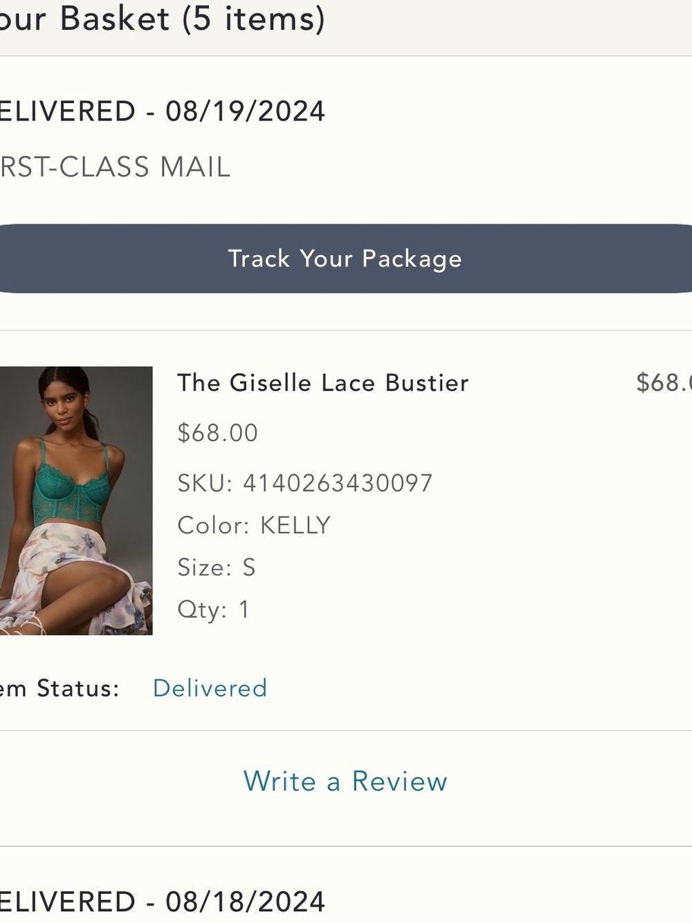 Anthropologie The Giselle Lace Bustier - S - Picture 3 of 3